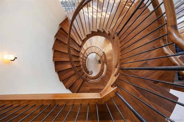 67 Indigo Way, Castle Rock, CO 80108 - view of staircase