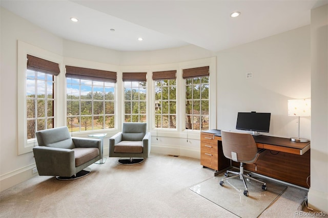 67 Indigo Way, Castle Rock, CO 80108 - office area with recessed lighting, baseboards, and light colored carpet