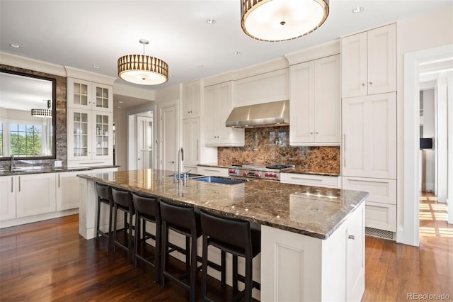 67 Indigo Way, Castle Rock, CO 80108 - kitchen featuring exhaust hood, dark wood-style flooring, stove, backsplash, and glass insert cabinets