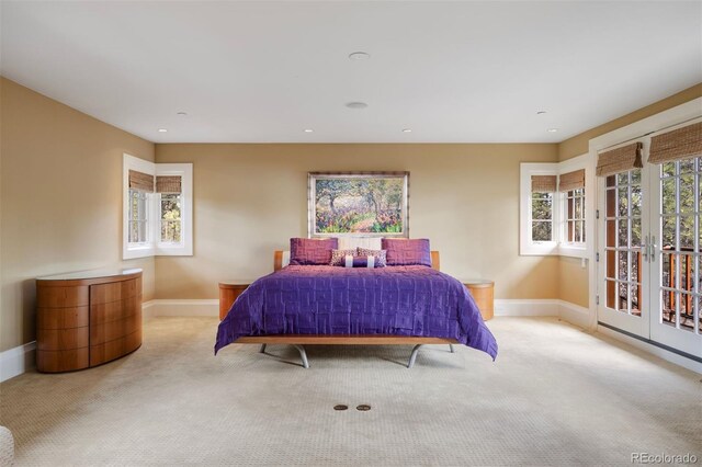 67 Indigo Way, Castle Rock, CO 80108 - carpeted bedroom with baseboards, access to exterior, and recessed lighting