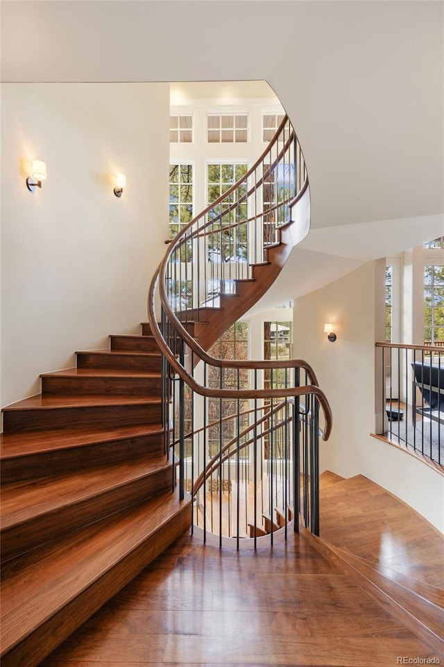 67 Indigo Way, Castle Rock, CO 80108 - stairway featuring wood finished floors and a high ceiling