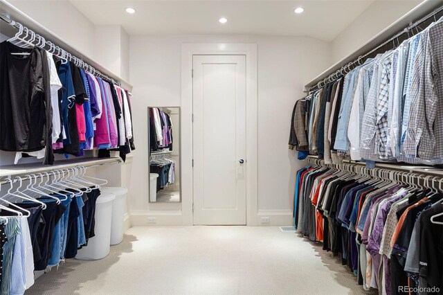 67 Indigo Way, Castle Rock, CO 80108 - walk in closet with carpet