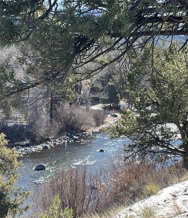 view of local wilderness with a water view