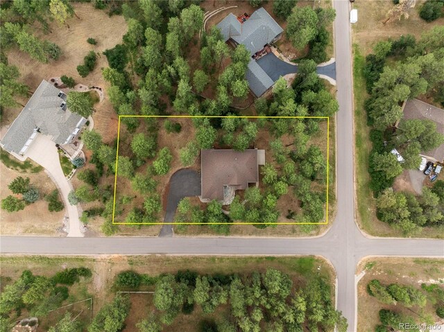 4381 Cheyenne Dr, Larkspur, CO 80118 - photo 49