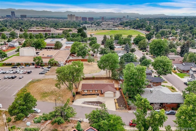 561 S Niagara St, Denver, CO 80224 - photo 22
