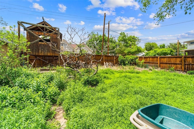 720 N Walnut St, Colorado Springs, CO 80905 - view of yard