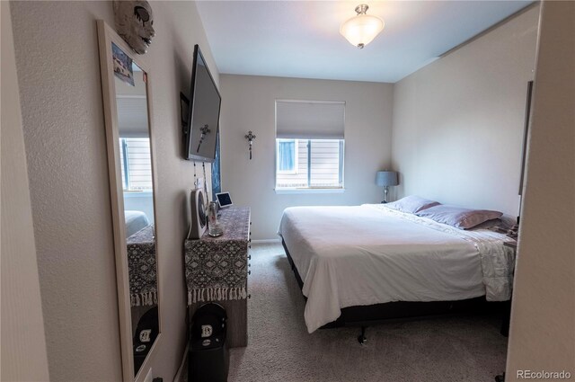 9844 Norfolk St, Commerce City, CO 80022 - view of carpeted bedroom
