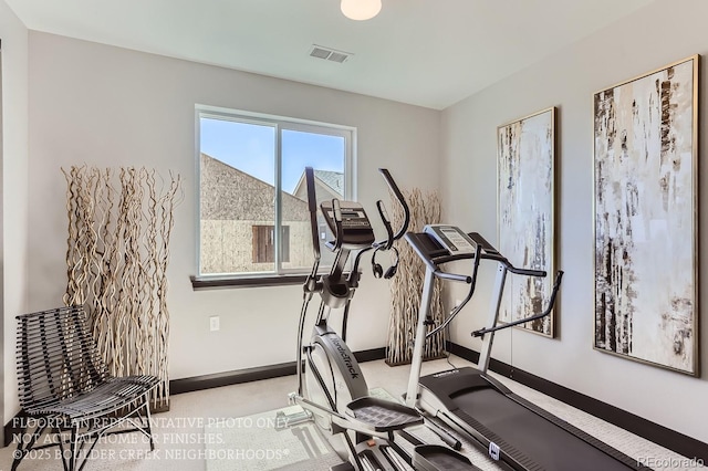 1768 Peak Loop, Broomfield, CO 80023 - exercise room with baseboards and carpet