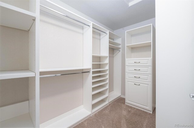 8230 Misty Moon Dr, Colorado Springs, CO 80924 - spacious closet with carpet