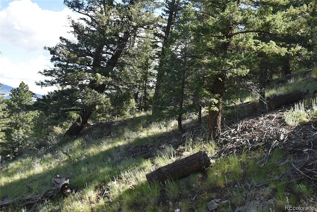 000 Upper Moss Rock Rd, Golden, CO 80401 - photo 2