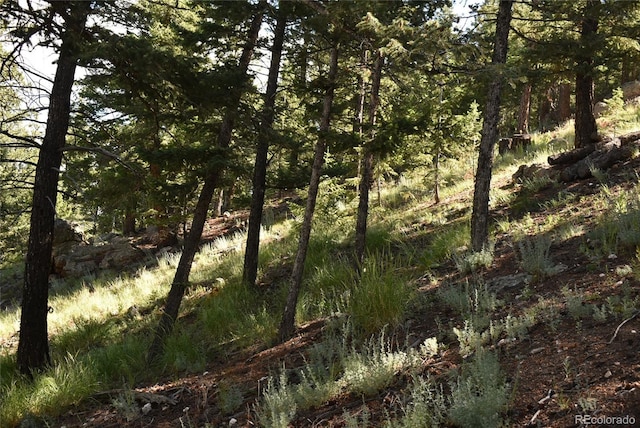 000 Upper Moss Rock Rd, Golden, CO 80401 - photo 4