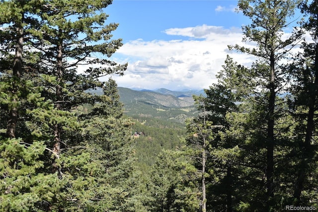 000 Upper Moss Rock Rd, Golden, CO 80401 - photo 5