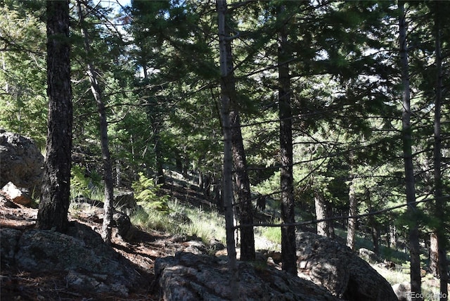 000 Upper Moss Rock Rd, Golden, CO 80401 - photo 6