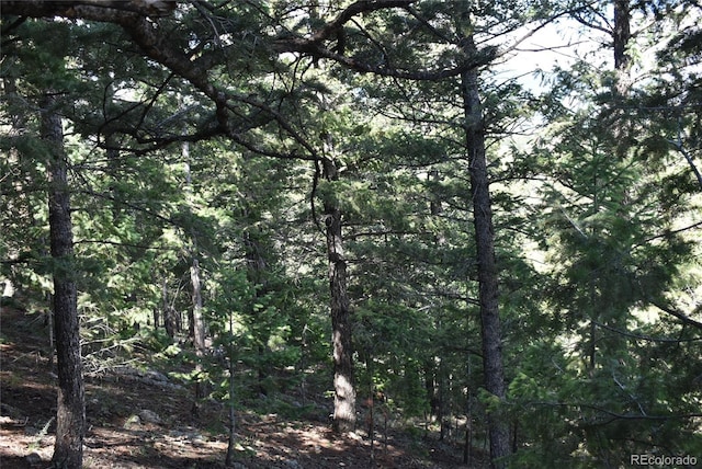 000 Upper Moss Rock Rd, Golden, CO 80401 - photo 7
