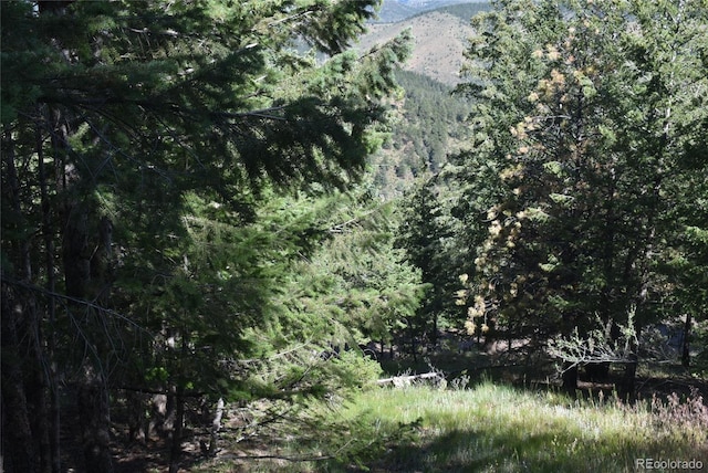 000 Upper Moss Rock Rd, Golden, CO 80401 - photo 8