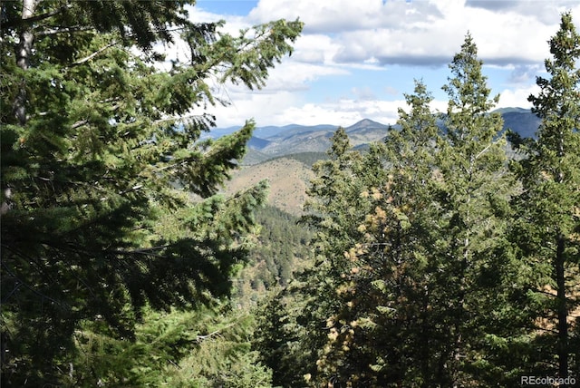000 Upper Moss Rock Rd, Golden, CO 80401 - photo 9