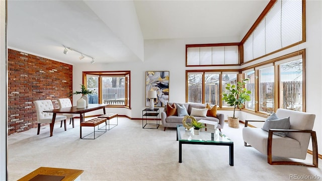 sunroom / solarium with track lighting