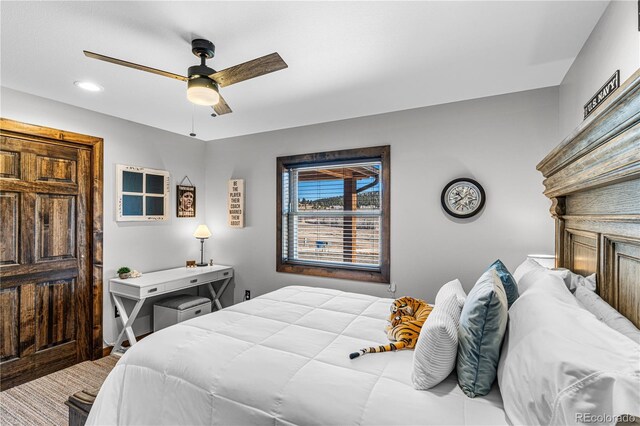 1401 Larkspur Ln, Westcliffe, CO 81252 - photo 17