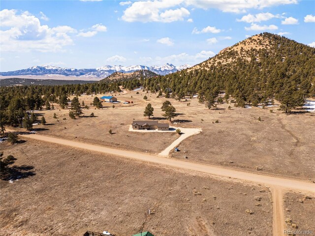 1401 Larkspur Ln, Westcliffe, CO 81252 - photo 24