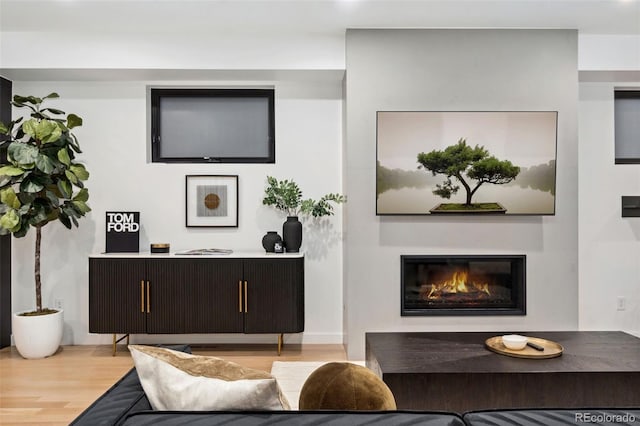 3709 Tejon St, Denver, CO 80211 - living room featuring light wood-style floors and a glass covered fireplace