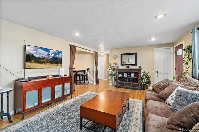 living room with light hardwood / wood-style floors