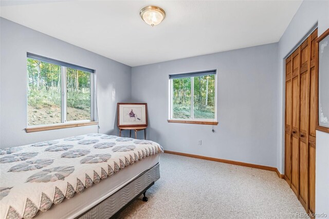 168 Mountain Vis, Como, CO 80432 - bedroom featuring light carpet and a closet