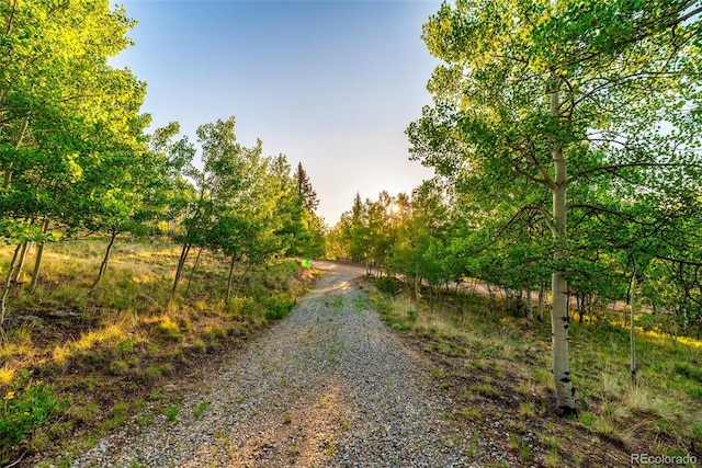 168 Mountain Vis, Como, CO 80432 - view of dirt / gravel road