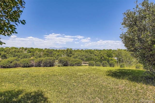 34 S Raleigh St, Denver, CO 80219 - view of yard with a wooded view and a mountain view