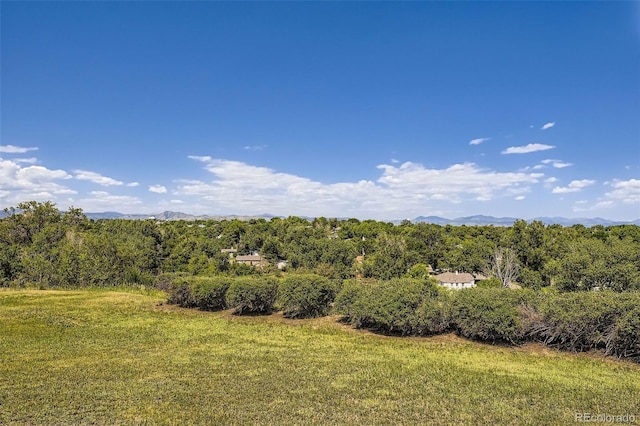 34 S Raleigh St, Denver, CO 80219 - view of grassy yard featuring a wooded view and a mountain view