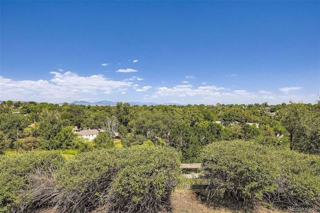 34 S Raleigh St, Denver, CO 80219 - view of wooded area