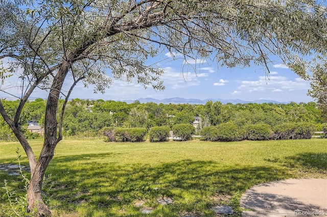 34 S Raleigh St, Denver, CO 80219 - view of green lawn with a mountain view