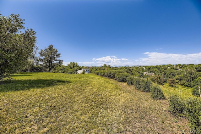 34 S Raleigh St, Denver, CO 80219 - view of grassy yard