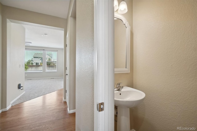 bathroom featuring hardwood / wood-style floors