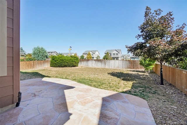 view of yard with a patio area