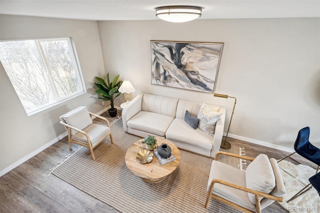 living room featuring wood-type flooring