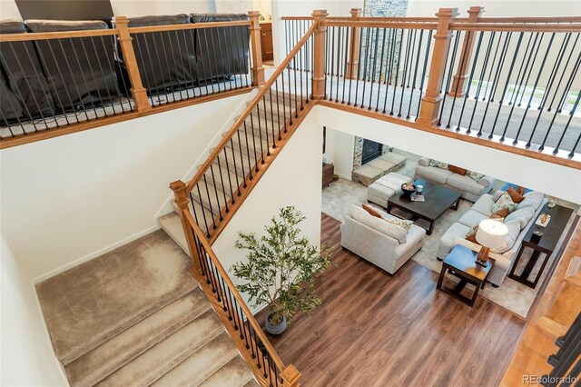 5737 Amarosa Dr, Parker, CO 80134 - photo 23