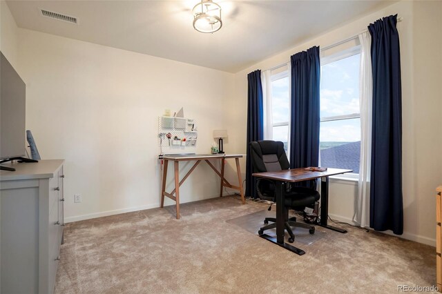 5737 Amarosa Dr, Parker, CO 80134 - photo 24
