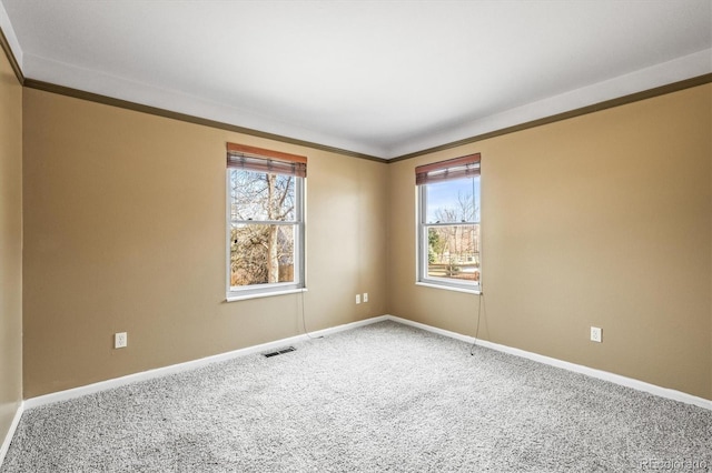 carpeted spare room with baseboards, crown molding, visible vents, and a wealth of natural light