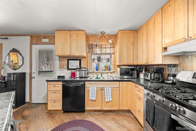 9129 Rampart St, Denver, CO 80260 - kitchen featuring appliances with stainless steel finishes, under cabinet range hood, light brown cabinetry, light wood-type flooring, and dark countertops