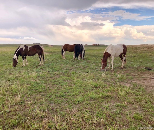 14350 Bradshaw Rd, Peyton, CO 80831 - photo 5