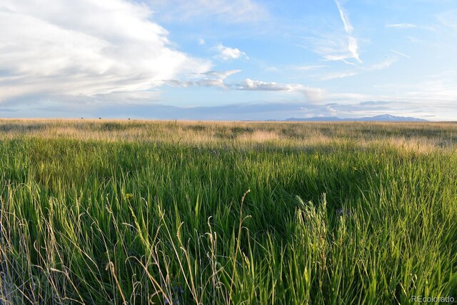 14350 Bradshaw Rd, Peyton, CO 80831 - photo 7