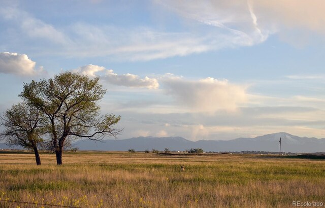 14350 Bradshaw Rd, Peyton, CO 80831 - photo 8