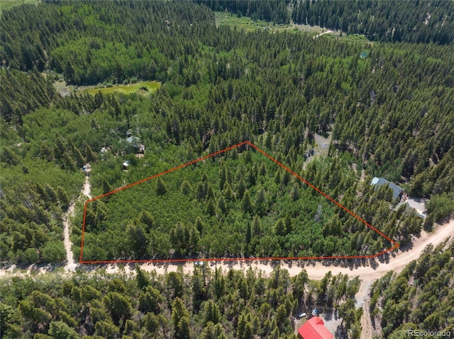 2564 Empire Valley Dr, Leadville, CO 80461 - photo 5