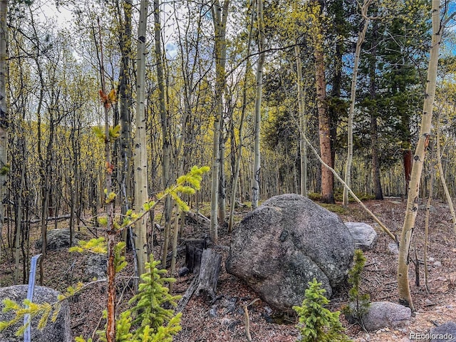 2564 Empire Valley Dr, Leadville, CO 80461 - photo 10