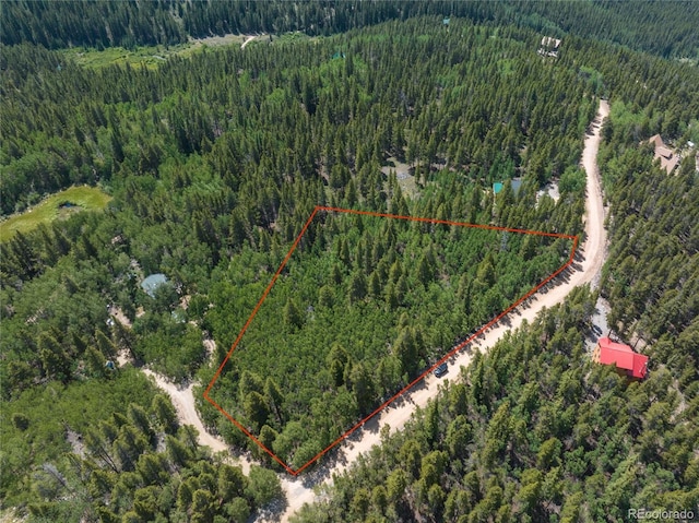 2564 Empire Valley Dr, Leadville, CO 80461 - photo 2