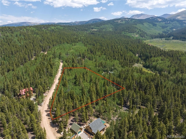 2564 Empire Valley Dr, Leadville, CO 80461 - photo 3