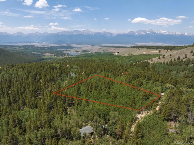 2564 Empire Valley Dr, Leadville, CO 80461 - photo 4