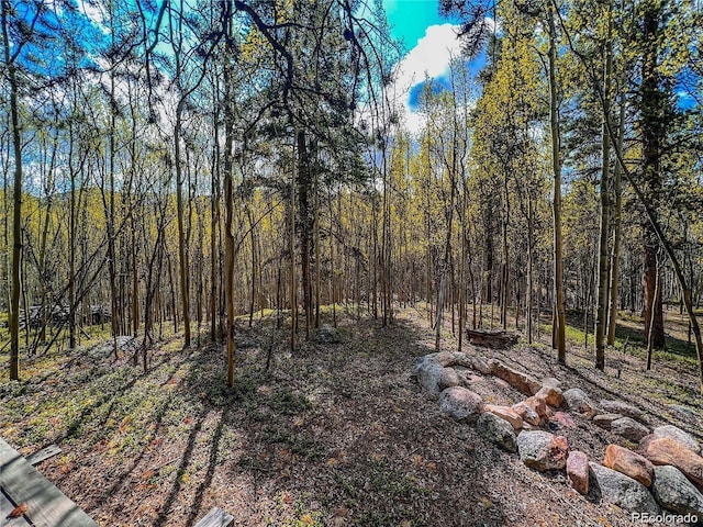 2564 Empire Valley Dr, Leadville, CO 80461 - photo 8