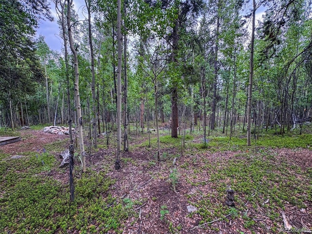 2564 Empire Valley Dr, Leadville, CO 80461 - photo 12