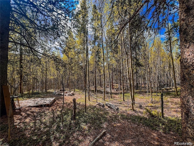2564 Empire Valley Dr, Leadville, CO 80461 - photo 14